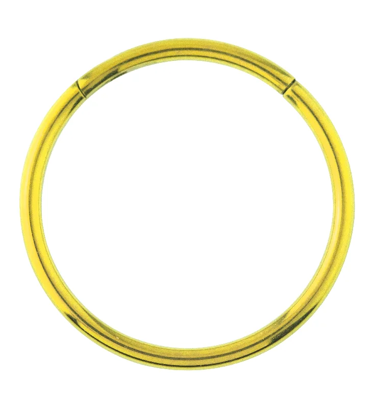 Gold Anodized Titanium Hinged Segment Hoop Ring